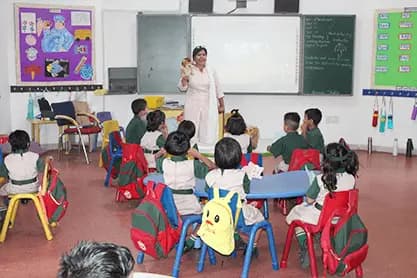 Curriculum & Pedagogy